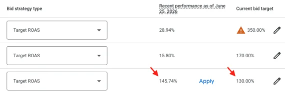 Google Ads’ Algorithmic Shift: Navigating the August 17 Bidding Update